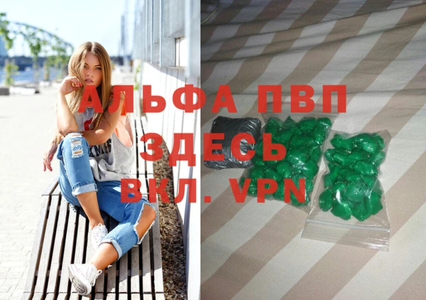 крисы Кодинск