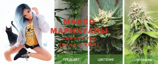 крисы Кодинск