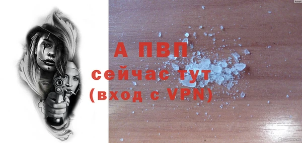 крисы Кодинск