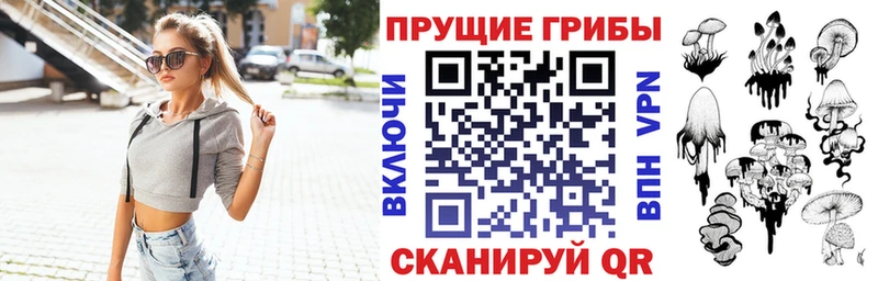 Псилоцибиновые грибы Psilocybine cubensis  Купить где  Зуевка 